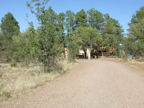 Parcel E Lamb Dr, Pinedale, AZ 85934 photo 3
