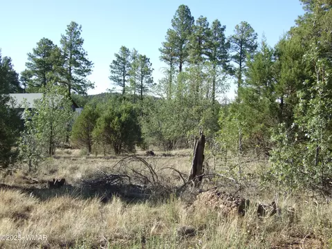 Parcel E Lamb Dr, Pinedale, AZ 85934 photo 7