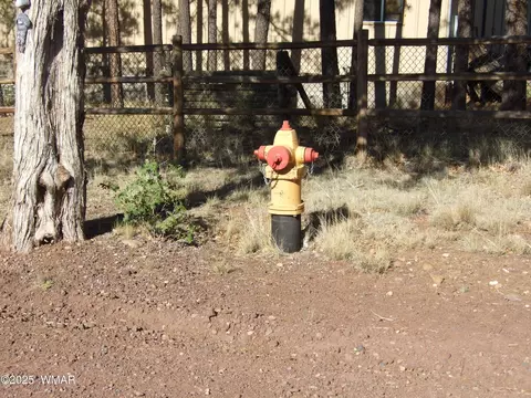 Parcel E Lamb Dr, Pinedale, AZ 85934 photo 8