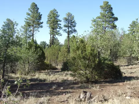 Parcel E Lamb Dr, Pinedale, AZ 85934 photo 4