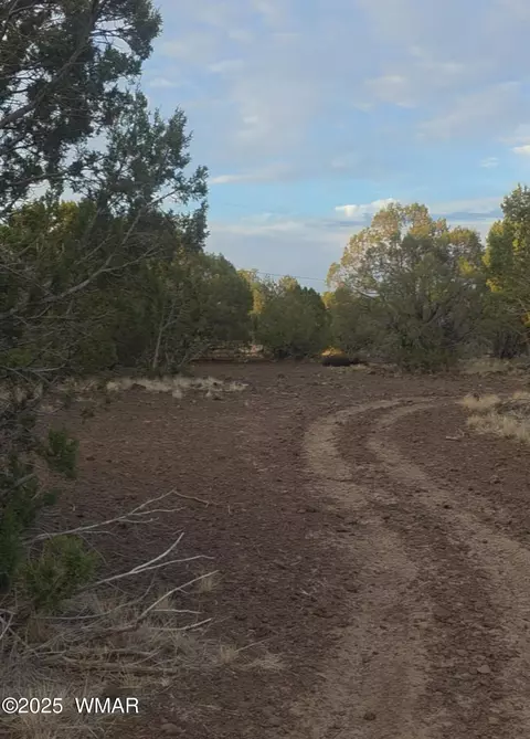 8588 Bobcat Dr, Show Low, AZ 85901