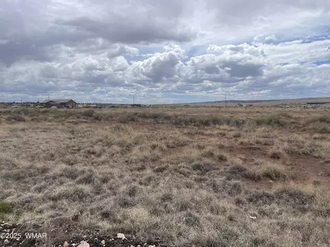 29 County Road 6010, Saint Johns, AZ 85936