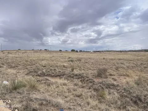 19 County Road 6012, Saint Johns, AZ 85936