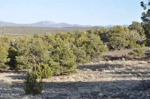 20 Co Rd 3 3044, Concho, AZ 85924