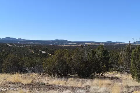 tbd Stanford Rd, Concho, AZ 85924