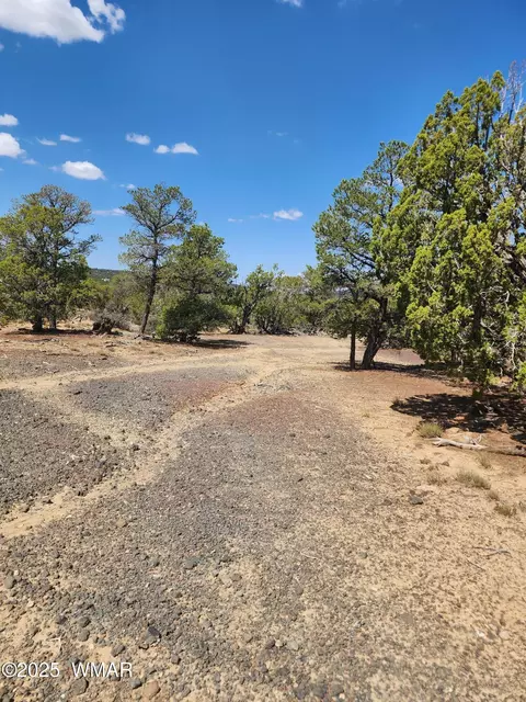 15 Co Rd 3041 #2, Concho, AZ 85924