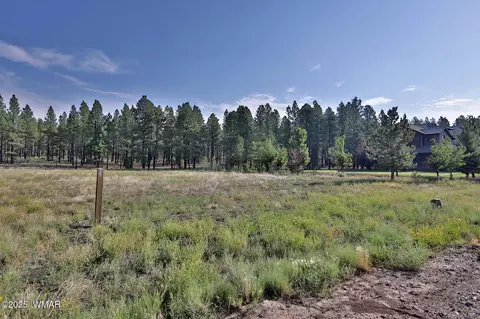 9592 Sierra Springs Dr, Pinetop, AZ 85935