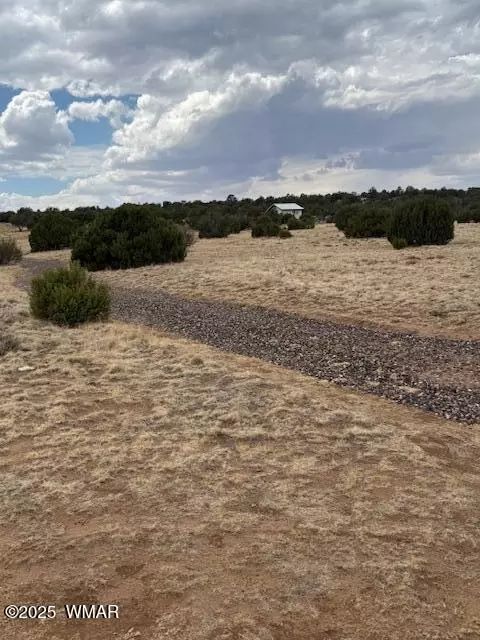 76 County Road 8010, Concho, AZ 85924