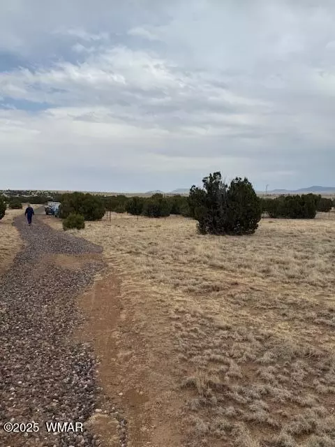 78 County Road 8010, Concho, AZ 85924