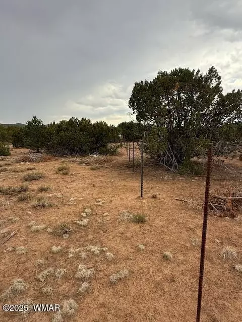 31 County Road 3044, Concho, AZ 85924