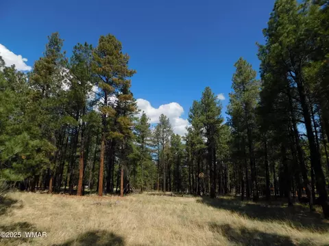 Unk 1.17 Ac Unk, Greer, AZ 85927