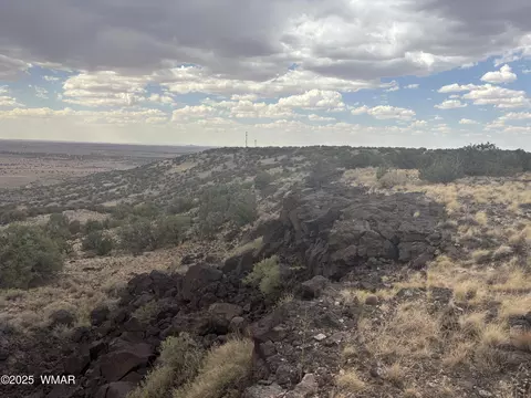 9223 Golden Horse Ln, Snowflake, AZ 85937