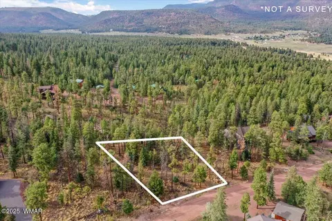 14 County Rd 2074, Alpine, AZ 85920 photo 5