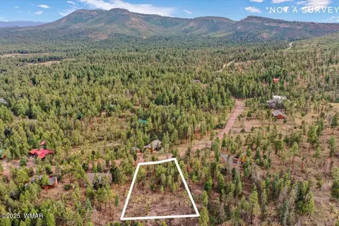 14 County Rd 2074, Alpine, AZ 85920 photo 7