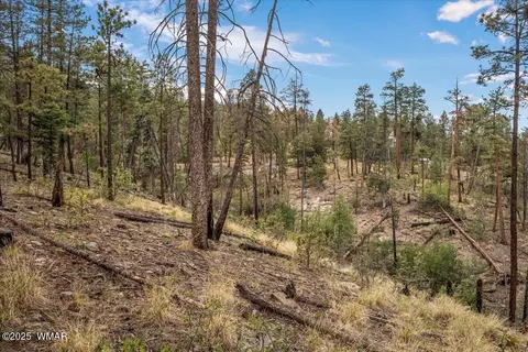 14 County Rd 2074, Alpine, AZ 85920 photo 3