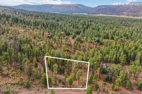 14 County Rd 2074, Alpine, AZ 85920 photo 4
