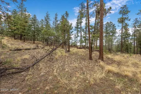 14 County Rd 2074, Alpine, AZ 85920 photo 2