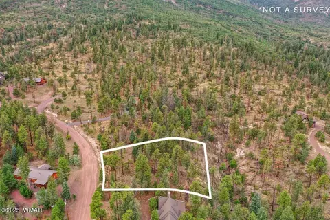 14 County Rd 2074, Alpine, AZ 85920 photo 9