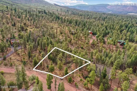 14 County Rd 2074, Alpine, AZ 85920 photo 6