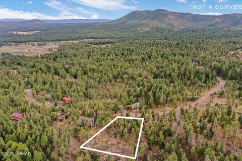14 County Rd 2074, Alpine, AZ 85920 photo 8
