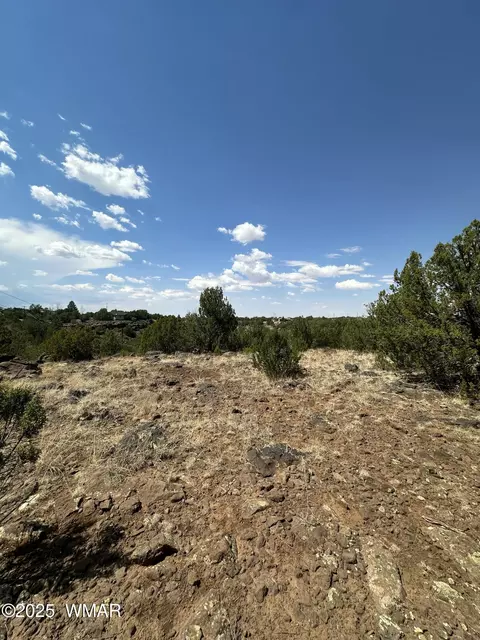 1776 Schad Pl, Show Low, AZ 85901