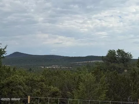 tbd Cr 3076-d, Vernon, AZ 85940