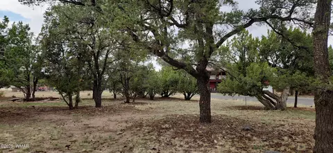 373 Crest Dr, Eagar, AZ 85925 photo 3