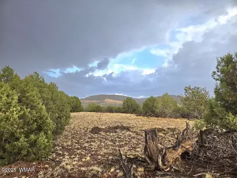 lot9 Pinon Valley Rnch, Concho, AZ 85924