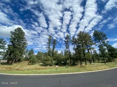2300 W Whispering Springs Trl, Show Low, AZ 85901