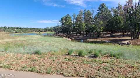 2221 W Edgewater, Show Low, AZ 85901