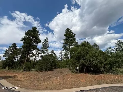 1541 S Braden Ct, Show Low, AZ 85901
