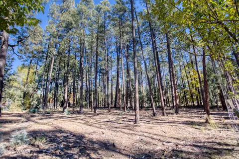 040 Vallery Ln # E, Lakeside, AZ 85929
