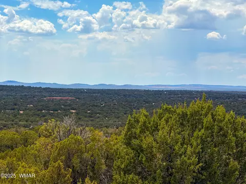 0 Weber Rd Lot A 5 Acres, Show Low, AZ 85901