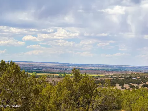 0 Weber Rd Lot A 5 Acres, Show Low, AZ 85901
