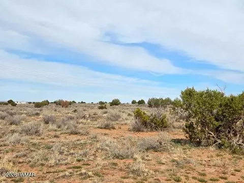 5324 White Antelope Rd, Snowflake, AZ 85937 photo 9