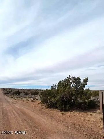 5324 White Antelope Rd, Snowflake, AZ 85937 photo 12