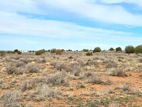5324 White Antelope Rd, Snowflake, AZ 85937 photo 15