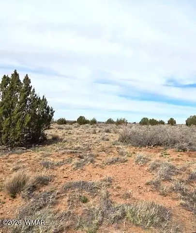 5324 White Antelope Rd, Snowflake, AZ 85937 photo 13