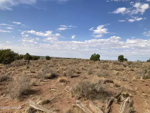 5324 White Antelope Rd, Snowflake, AZ 85937 photo 6