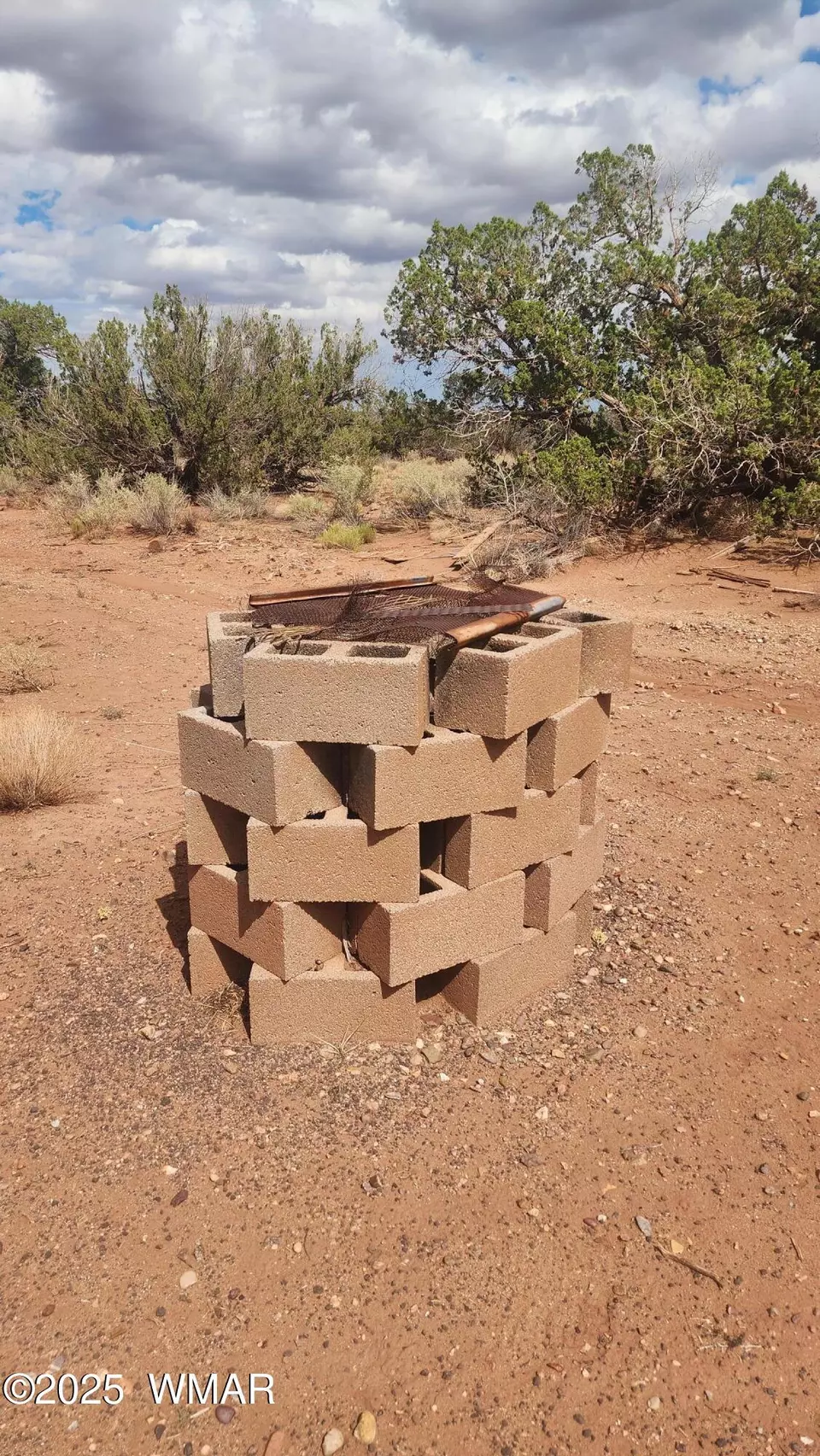  92 County Road N5417, Concho, AZ 85924 photo 47