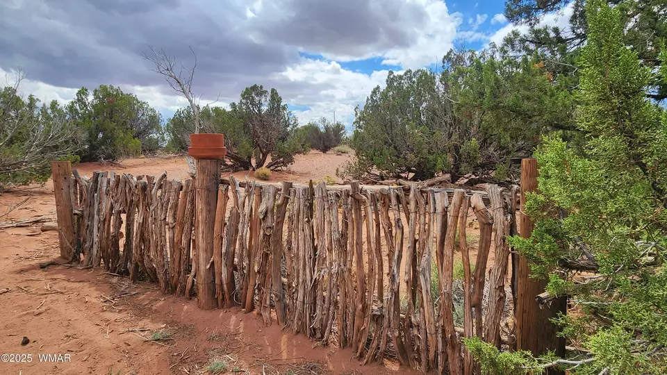  92 County Road N5417, Concho, AZ 85924 photo 41