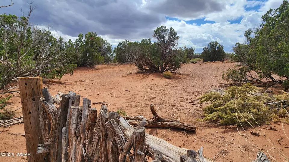  92 County Road N5417, Concho, AZ 85924 photo 42