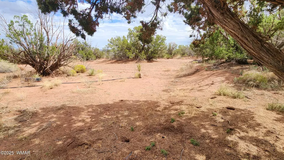  92 County Road N5417, Concho, AZ 85924 photo 39