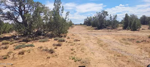 tbd Cr5532, Concho, AZ 85924