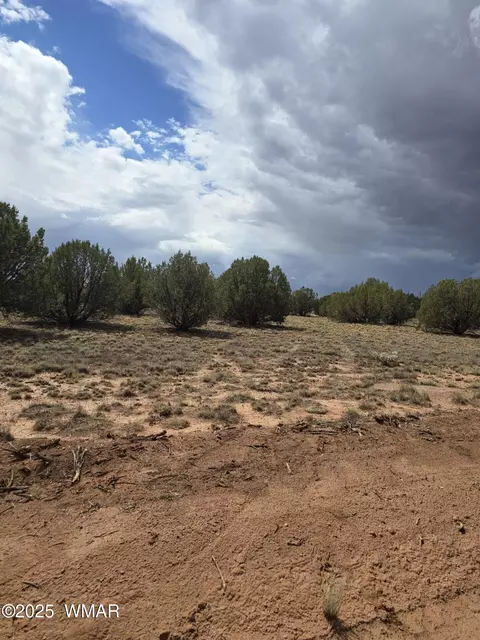 4979 W Tharp Rd, Snowflake, AZ 85937 photo 2