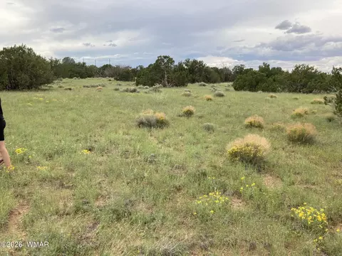 4979 W Tharp Rd, Snowflake, AZ 85937 photo 14
