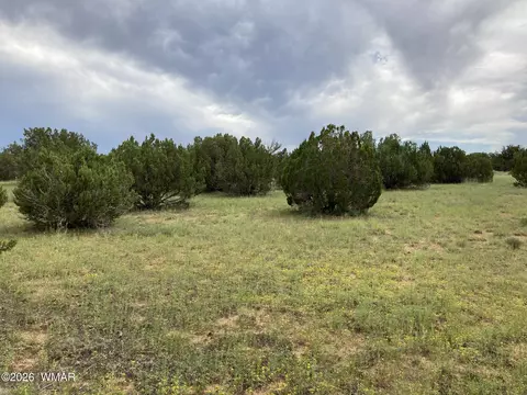 4979 W Tharp Rd, Snowflake, AZ 85937 photo 11