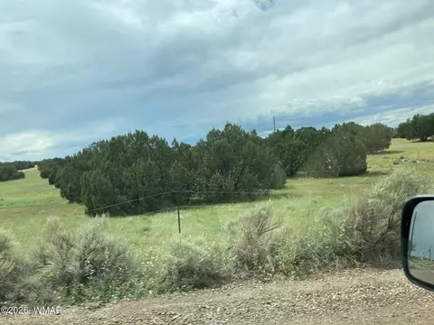 4979 W Tharp Rd, Snowflake, AZ 85937 photo 7
