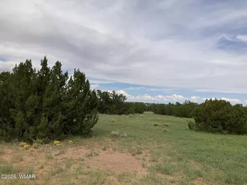 4979 W Tharp Rd, Snowflake, AZ 85937 photo 15