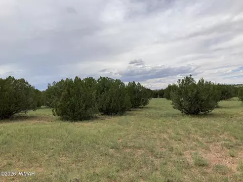 4979 W Tharp Rd, Snowflake, AZ 85937 photo 12